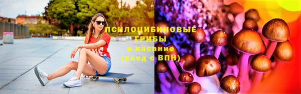 таблы Богданович