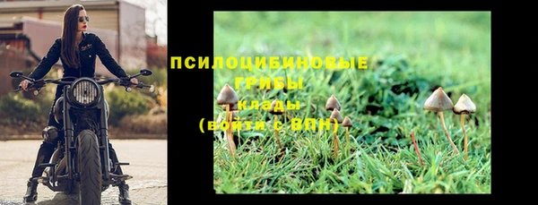 а пвп мука Снежногорск